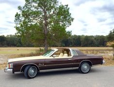 a brown and white car parked in front of a tree