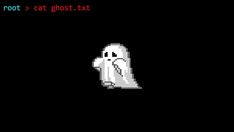 an image of a ghost in the dark with text that reads, root > cat ghost exit