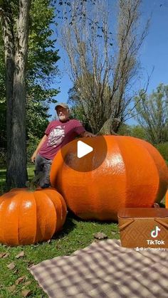 a man standing next to two giant pumpkins on the ground in front of trees