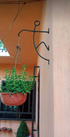 a potted plant hanging from the side of a building