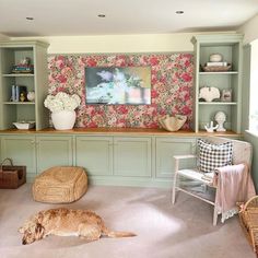 a dog laying on the floor in front of a bookshelf with floral wallpaper