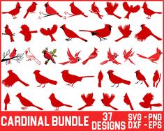 red cardinal bird silhouettes on white background for graphic art projects and scrapbooking