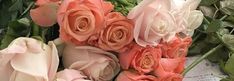 a bunch of pink roses sitting on top of a piece of paper next to each other