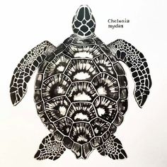 a black and white drawing of a turtle