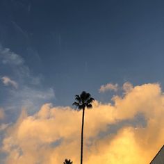 a tall palm tree sitting next to a building under a blue sky filled with clouds