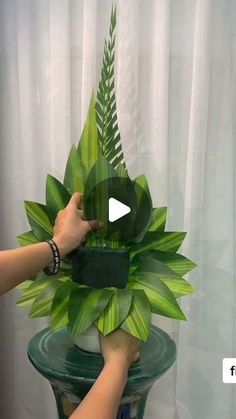 a person holding a fake plant in front of a white curtain