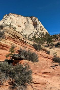 a rock formation in the desert with trees growing out of it