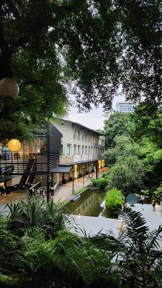 an outdoor area with trees, plants and buildings