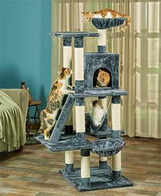 two cats are playing in a cat tree