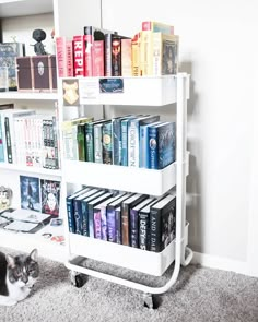 a cat sitting on the floor in front of a book shelf filled with many books