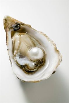 an open oyster shell with two pearls in it's center, on a white surface