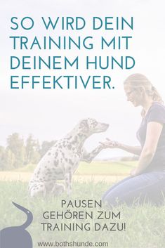 a woman sitting in the grass petting a dalmatian dog's paw