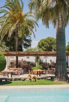 an outdoor dining area next to a swimming pool with palm trees in the foreground