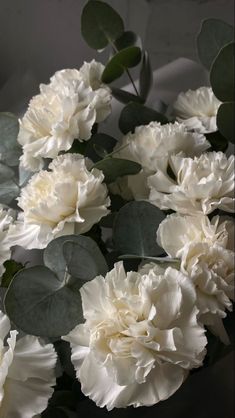 white carnations and eucalyptus leaves are arranged in a circle on a table top