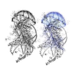 two drawings of jellyfish in blue and black ink