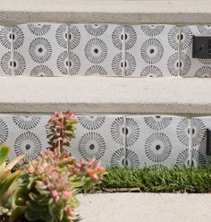 two cement steps with flowers and plants in the foreground next to eachother