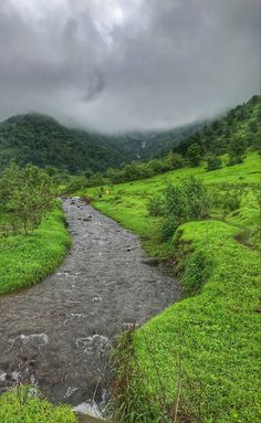 a stream running through a lush green valley