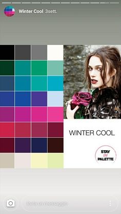 Cool Winter Makeup, Winter Skin Tone, Color Theory Art, Winter Palette