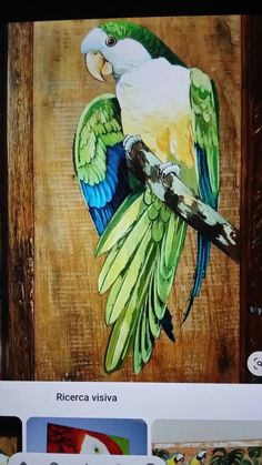 an image of a parrot painted on wood