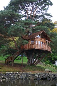 a tree house built into the side of a large tree