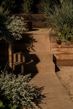 there are many plants in the planter boxes