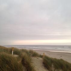 an empty beach with grass growing on the sand and water in the distance, under a cloudy sky