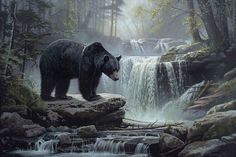 a painting of a bear standing on a rock in front of a waterfall