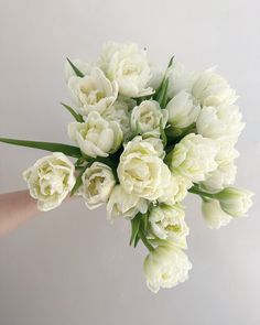 a bouquet of white tulips is being held by someone's hand against a wall