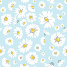 a blue background with white daisies and yellow centers