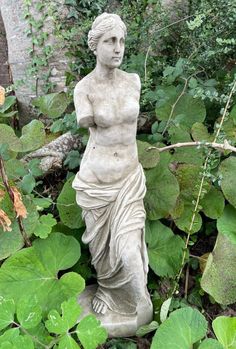 a statue in the middle of some plants