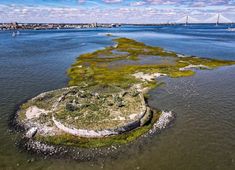 an island in the middle of water with green algae growing on it and a bridge in the background