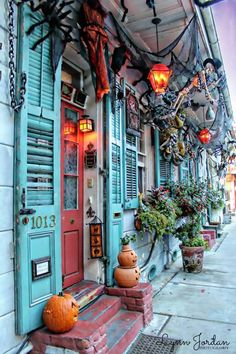 an image of a street with blue shutters and potted plants