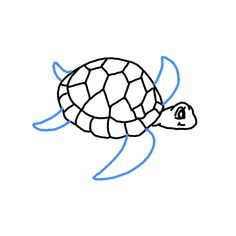 a drawing of a turtle with blue lines on it's back and head in the water