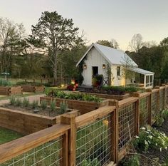 a fenced in garden area with lots of plants