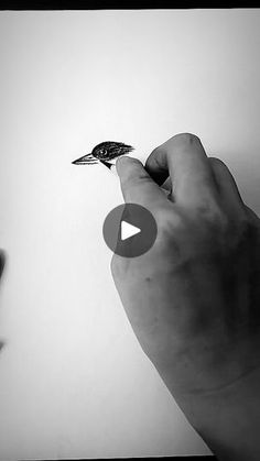 a hand holding a small bird on top of a white wall next to a black and white photo