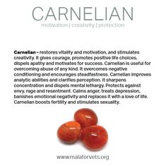 Carnelian Meaning, Mental Healing, Peace And Balance, Fertility Boost, Rudraksha Beads, Find Inner Peace