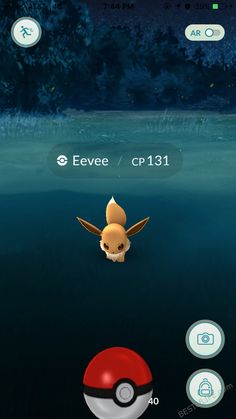 the pokemon ball is floating in the water