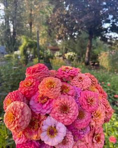 a bouquet of pink and orange flowers in a garden