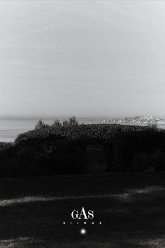 a black and white photo of the ocean in front of some bushes with gas written on it