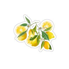 lemons with leaves and flowers sticker on a white background, watercolor painting