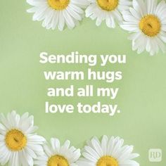 some white daisies with the words sending you warm hugs and all my love today