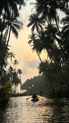 two people in a canoe paddling down a river with palm trees on both sides