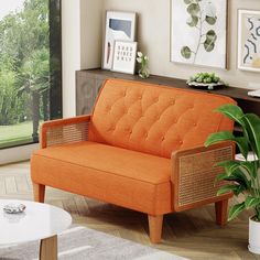 an orange couch sitting in front of a window next to a table with a potted plant