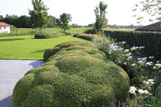 a garden with hedges and flowers in the foreground