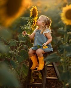 Parents With Baby, Sunflower Photography, Spring Photoshoot, Toddler Photos, Toddler Photography, Shotting Photo, Summer Photoshoot, Spring Photos