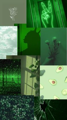 a collage of images with green and white colors