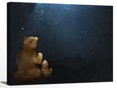 a bear sitting on its hind legs looking up at the stars in the sky