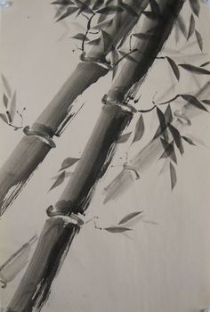 black and white photograph of bamboo tree branches