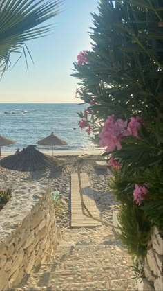 the beach is lined with umbrellas and palm trees, along with some pink flowers