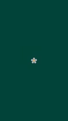 two small white flowers on a dark green background in the middle of an image that appears to be from above